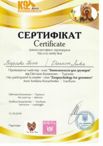certificate_varava_-inga2
